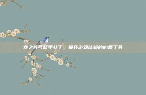 龙之谷弓箭手补丁,提升游戏体验的必备工具