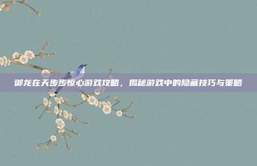 御龙在天步步惊心游戏攻略,揭秘游戏中的隐藏技巧与策略