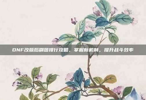 DNF改版后刷图排行攻略,掌握新机制,提升战斗效率