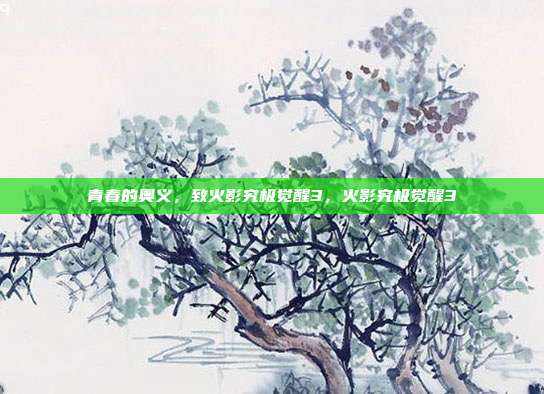 青春的奥义，致火影究极觉醒3，火影究极觉醒3