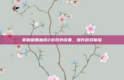 掌握暗黑血统2游戏外设置，提升游戏体验