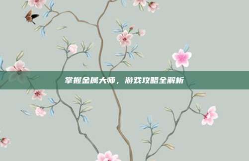 掌握金属大师,游戏攻略全解析