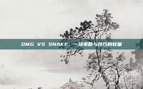 OMG VS SNAKE，一场策略与技巧的较量