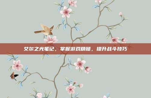 艾尔之光笔记,掌握游戏精髓,提升战斗技巧