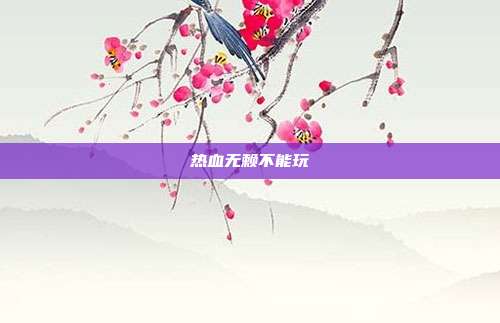 热血无赖不能玩