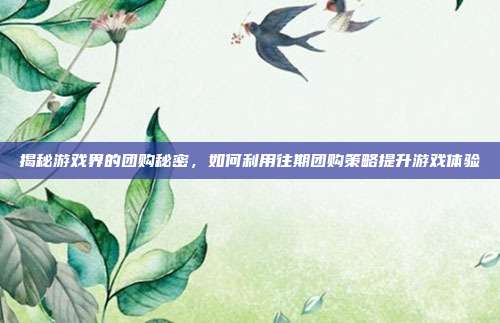 揭秘游戏界的团购秘密,如何利用往期团购策略提升游戏体验