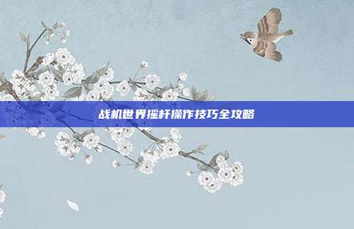 战机世界摇杆操作技巧全攻略