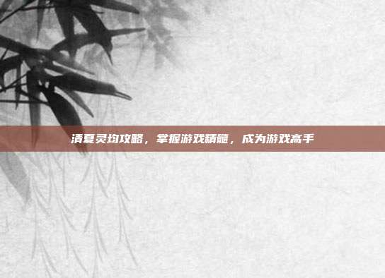 清夏灵均攻略,掌握游戏精髓,成为游戏高手