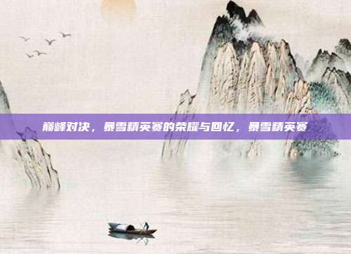 巅峰对决，暴雪精英赛的荣耀与回忆，暴雪精英赛