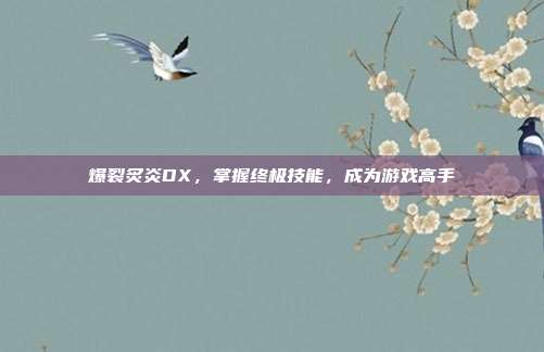 爆裂炙炎DX，掌握终极技能，成为游戏高手