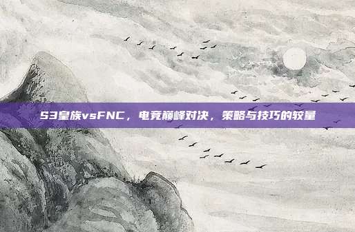 S3皇族vsFNC,电竞巅峰对决,策略与技巧的较量