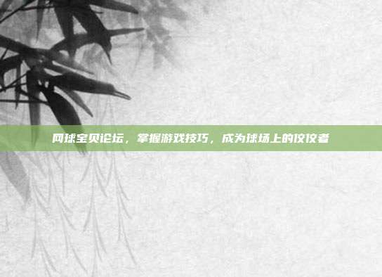 网球宝贝论坛，掌握游戏技巧，成为球场上的佼佼者