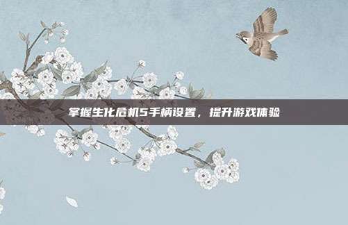 掌握生化危机5手柄设置,提升游戏体验