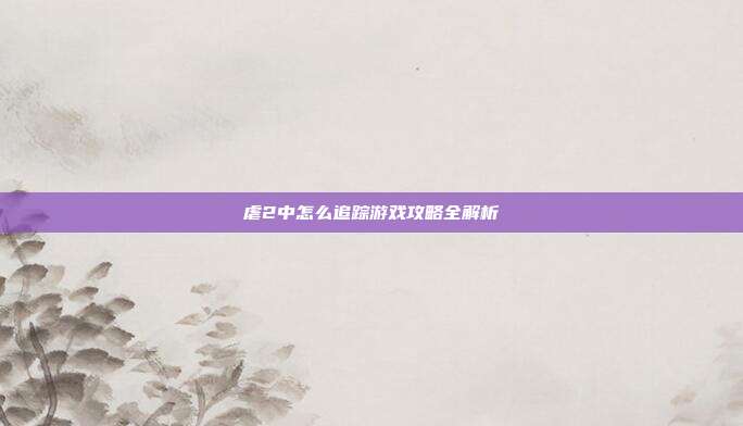 虐2中怎么追踪游戏攻略全解析