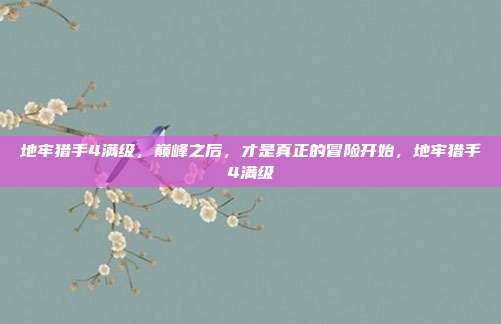 地牢猎手4满级，巅峰之后，才是真正的冒险开始，地牢猎手4满级