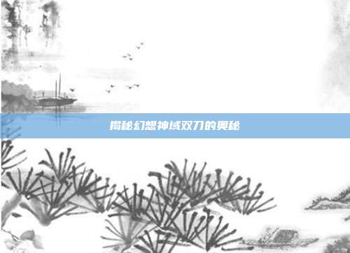 揭秘幻想神域双刀的奥秘