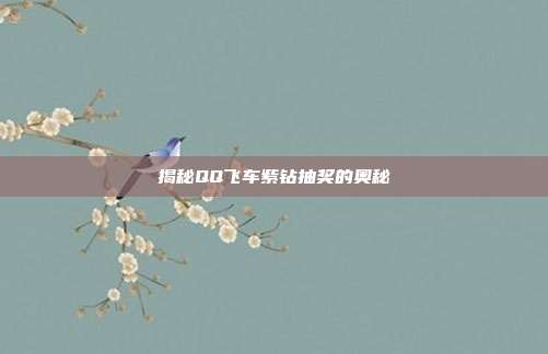 揭秘QQ飞车紫钻抽奖的奥秘