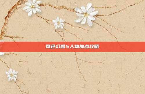 风色幻想5人物加点攻略