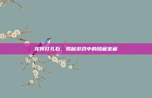 龙将打孔石，揭秘游戏中的隐藏宝藏