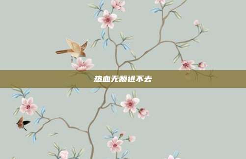 热血无赖进不去