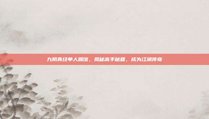 九阴真经单人踢馆,揭秘高手秘籍,成为江湖传奇
