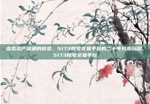 虚拟资产流通的桥梁，5173账号交易平台的二十年风雨历程，5173账号交易平台