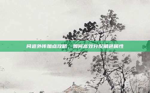 问道外传加点攻略,如何高效分配角色属性