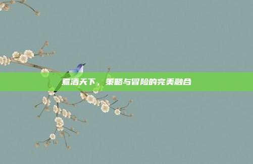 煮酒天下,策略与冒险的完美融合