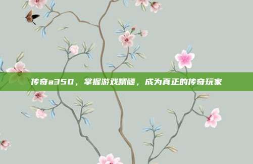 传奇a350,掌握游戏精髓,成为真正的传奇玩家