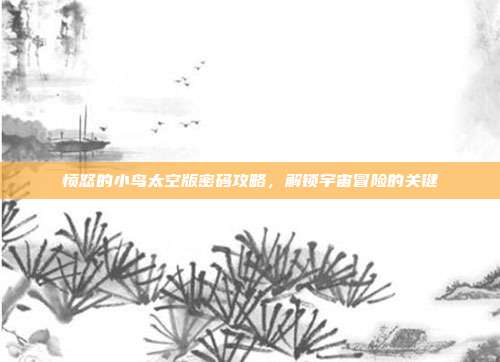 愤怒的小鸟太空版密码攻略,解锁宇宙冒险的关键