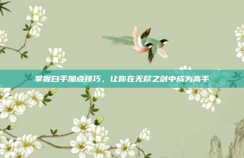 掌握白手加点技巧,让你在无尽之剑中成为高手