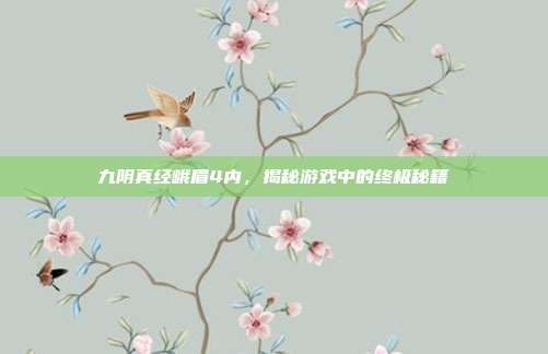 九阴真经峨眉4内,揭秘游戏中的终极秘籍