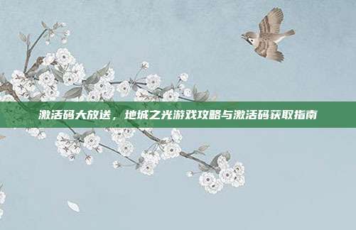 激活码大放送，地城之光游戏攻略与激活码获取指南