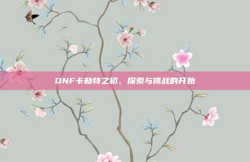 DNF卡勒特之初,探索与挑战的开始