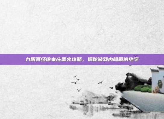 九阴真经徐家庄篝火攻略,揭秘游戏内隐藏的绝学