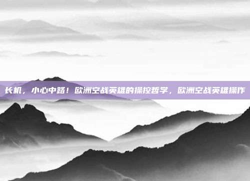 长机，小心中路！欧洲空战英雄的操控哲学，欧洲空战英雄操作