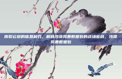 撕裂云层的信息利刃，解码沙漠风暴数据包的战场密码，沙漠风暴数据包