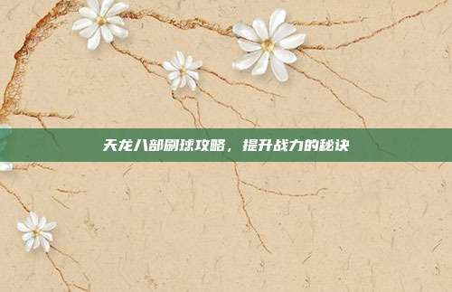 天龙八部刷球攻略,提升战力的秘诀