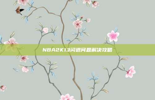 NBA2K13闪退问题解决攻略