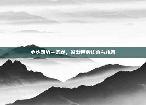 中华网络一条龙,游戏界的传奇与攻略