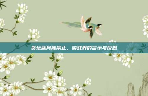 贪玩蓝月被禁止,游戏界的警示与反思