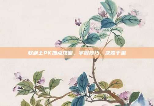 驭剑士PK加点攻略,掌握技巧,决胜千里