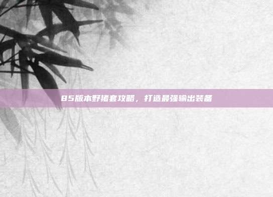 85版本野猪套攻略,打造最强输出装备