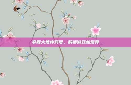 掌握大荒序列号,解锁游戏新境界