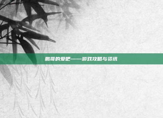 鹏哥的爱吧——游戏攻略与资讯