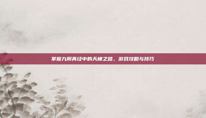 掌握九阴真经中的天梯之路,游戏攻略与技巧