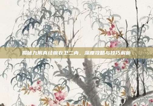 揭秘九阴真经锦衣卫二内,深度攻略与技巧解析