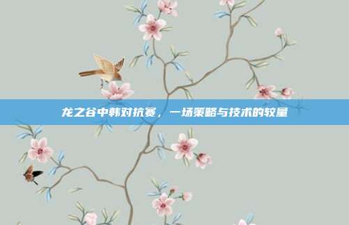 龙之谷中韩对抗赛，一场策略与技术的较量
