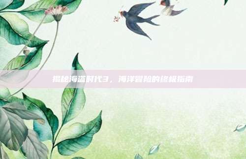 揭秘海盗时代3,海洋冒险的终极指南