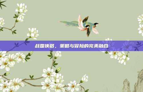 战国侠侣,策略与冒险的完美融合